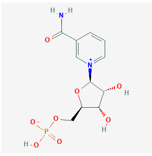 乙酰基六肽-7,Acetyl hexapeptide-7