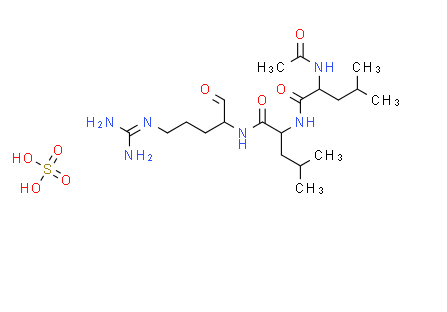 肽酶,Peptidase