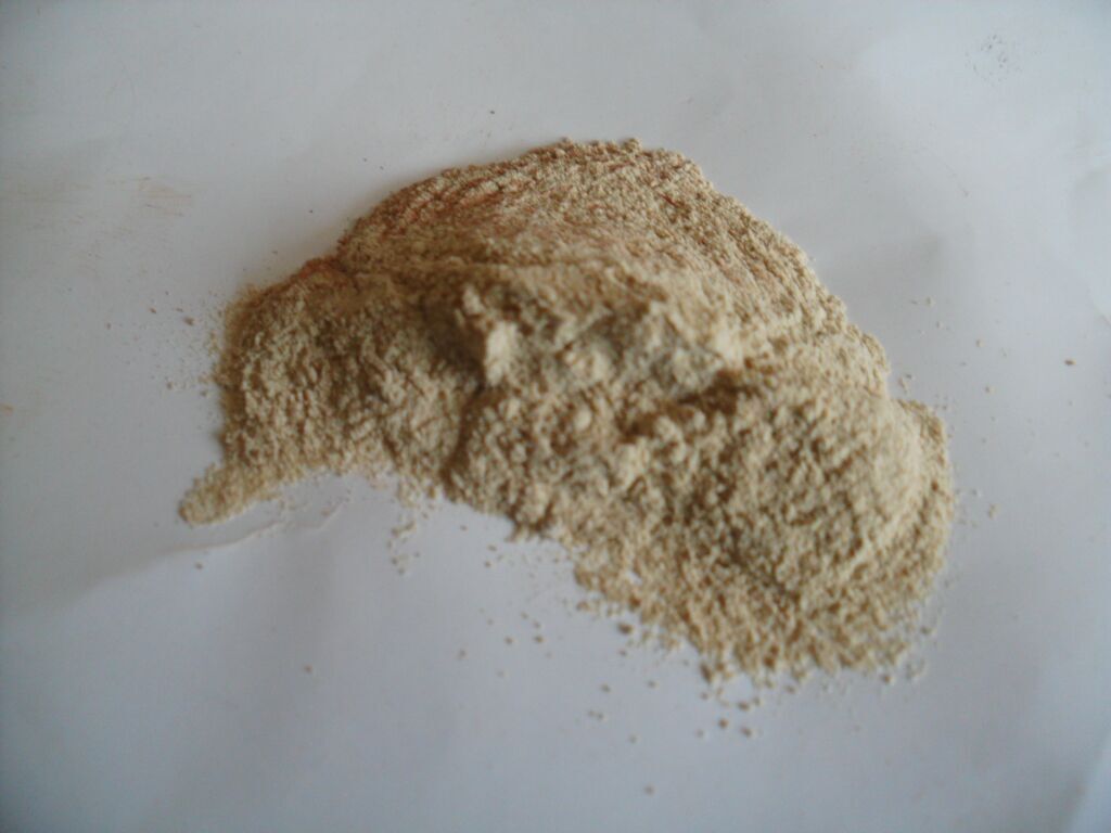 茯苓提取物      茯苓多糖20%,Indian Bread P.E.