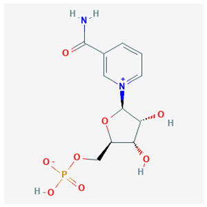   乙酰基六肽-7