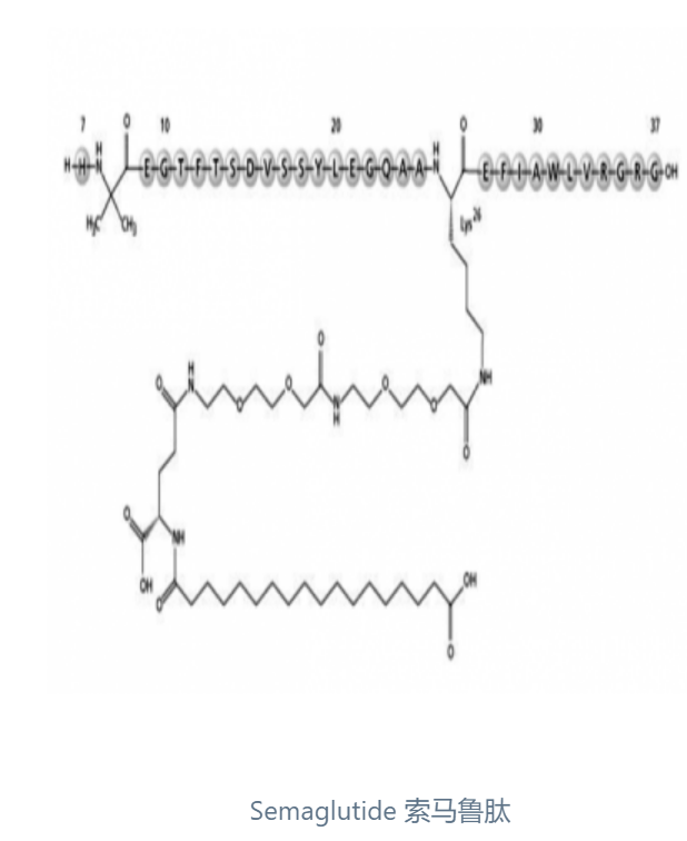 索瑪魯肽,Semaglutide