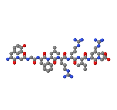 强啡肽A(1-10),Dynorphin A (1-10)