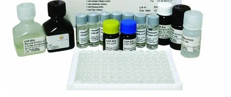 重組人谷胱甘肽S-轉移酶Pi1,Recombinant Human Glutathione S-Transferase pi 1