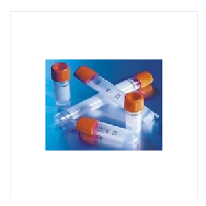 Anti-PGCP:血浆谷氨酸羧肽酶抗体