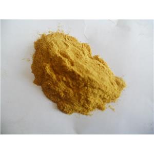黄芪提取物     黄芪多糖30%,Astragali Extract