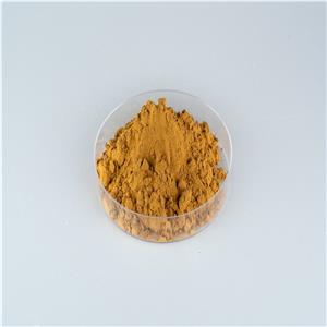 黄精提取物(黄精多糖30%-50%),Solomonseal Rhizome P.E