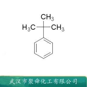 叔丁基苯,tert-Butylbenzene