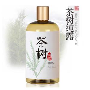 茶树纯露,Tea Tree Hydrosol