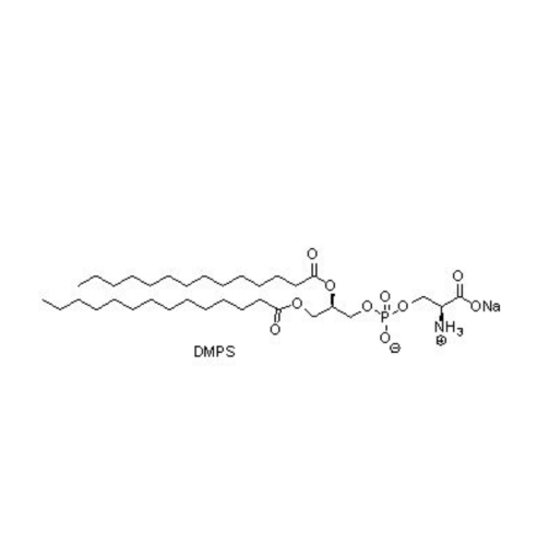 DMPS,1,2-dimyristoyl-sn-glycero-3-phospho-L-serine (sodium salt)