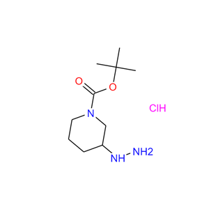 1-BOC-3-肼基哌啶盐酸盐,tert-Butyl 3-hydrazinylpiperidine-1-carboxylate hydrochloride