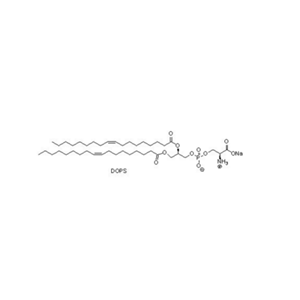 DOPS,1,2-dioleoyl-sn-glycero-3-phospho-L-serine (sodium salt)