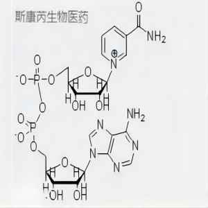 烟酰胺腺嘌呤二核苷酸,NAD