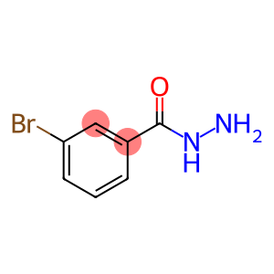 3-溴苯肼,3-Bromobenzhydrazide