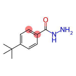对叔丁基苯甲酰肼,4-tert-Butylbenzhydrazide