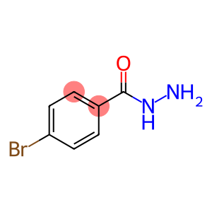 4-溴苯肼  4-Bromobenzhydrazide  5933-32-4