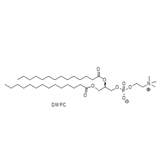 DMPC,1,2-distearoyl-sn-glycero-3-phospho-(1'-rac-glycerol) (sodium salt)