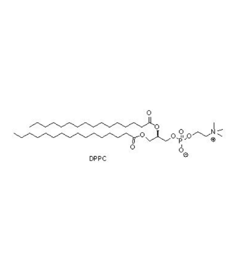 DPPC,1,2-dipalmitoyl-sn-glycero-3-phosphocholine