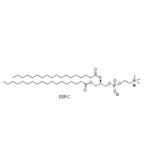DSPC,1,2-distearoyl-sn-glycero-3-phosphocholine