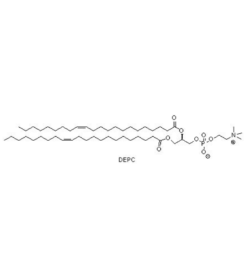 DEPC,1,2-dierucoyl-sn-glycero-3-phosphocholine