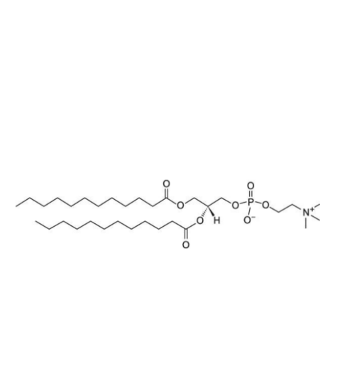 DLPC,1,2-dilauroyl-sn-glycero-3-phosphocholine