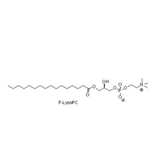 P-LysoPC,1-palmitoyl-2-hydroxy-sn-glycero-3-phosphocholine