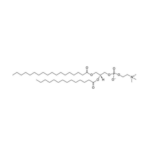 SMPC,1-stearoyl-2-myristoyl-sn-glycero-3-phosphocholine