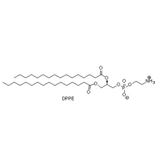 DPPE,1,2-dipalmitoyl-sn-glycero-3-phosphocholine