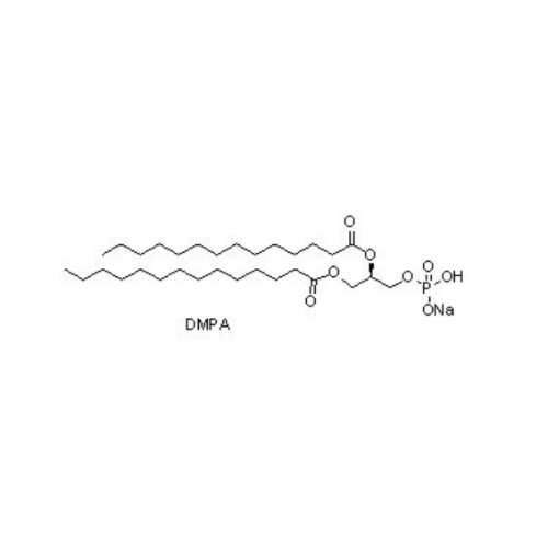 二肉豆蔻酰磷脂酸钠盐,1,2-dimyristoyl-sn-glycero-3-phosphate (sodium salt)(DMPA)