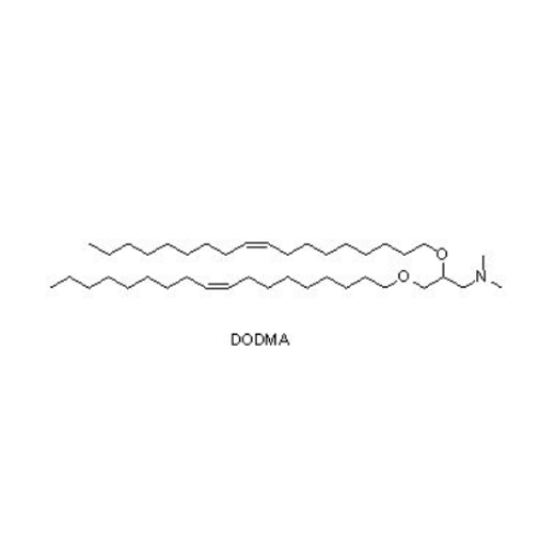 1,2-二油醇-3-二甲基氨基-丙烷（DODMA）,1,2-Dioleyloxy-3-dimethylamino-propane