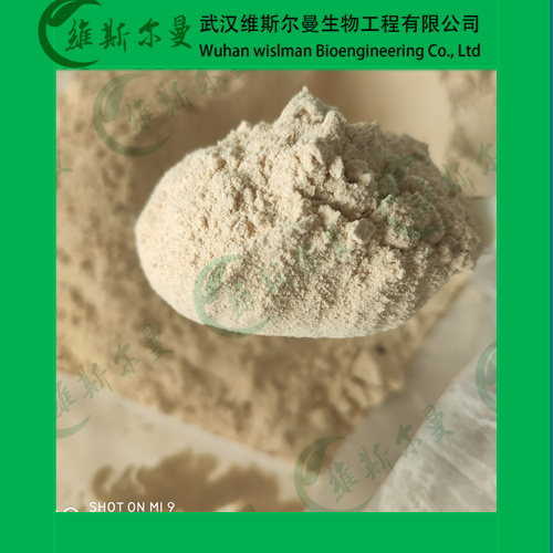 白葡萄球菌粉,Staphylococcus Albus Tablets