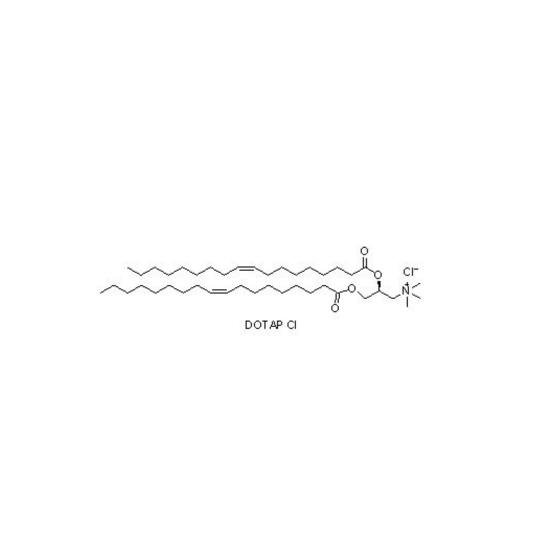 (2,3-二油氧基丙基)三甲基氯化銨（DOTAP）,1,2-dioleoyl-3-trimethylammonium-propane (chloride salt)