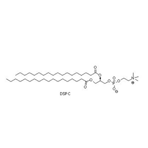 DSPC,1,2-distearoyl-sn-glycero-3-phosphocholine