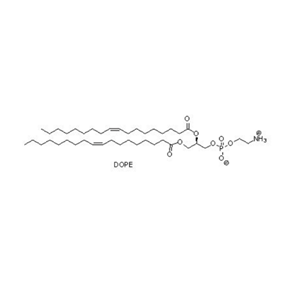 DOPE,1,2-dioleoyl-sn-glycero-3-phosphoethanolamine
