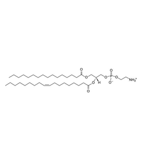 POPE,1-palmitoyl-2-oleoyl-sn-glycero-3-phosphoethanolamine