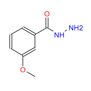 3-甲氧基苯酰肼,3-Methoxybenzhydrazide