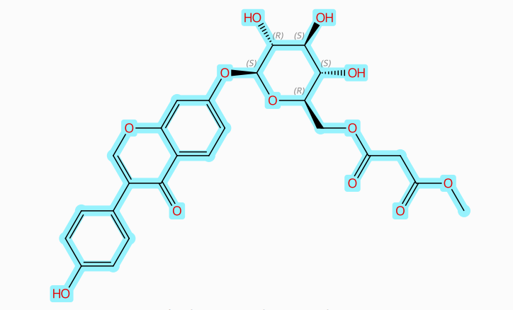 methylation of 6"-O-malonyldaidzin,methylation of 6"-O-malonyldaidzin