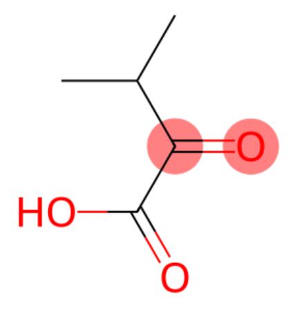 二甲基丙酮酸,Dimethylpyruvic acid