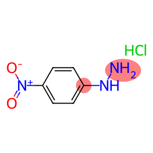 4-硝基苯肼盐酸盐  636-99-7