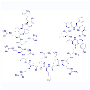 二聚抑制剂多肽/1446322-66-2/TAT-cyclo-CLLFVY