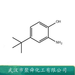 2-氨基-4-叔丁基酚,2-Amino-4-tert-butylphenol