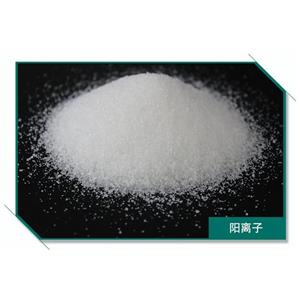 酰胺,Poly(acrylamide)