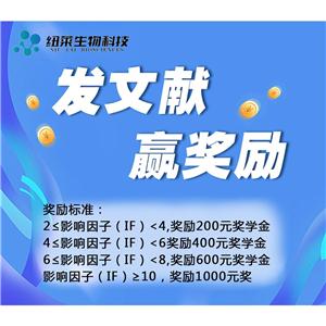 RhoA 活性抗體,Anti-Active RhoA Mouse Monoclonal Antibody