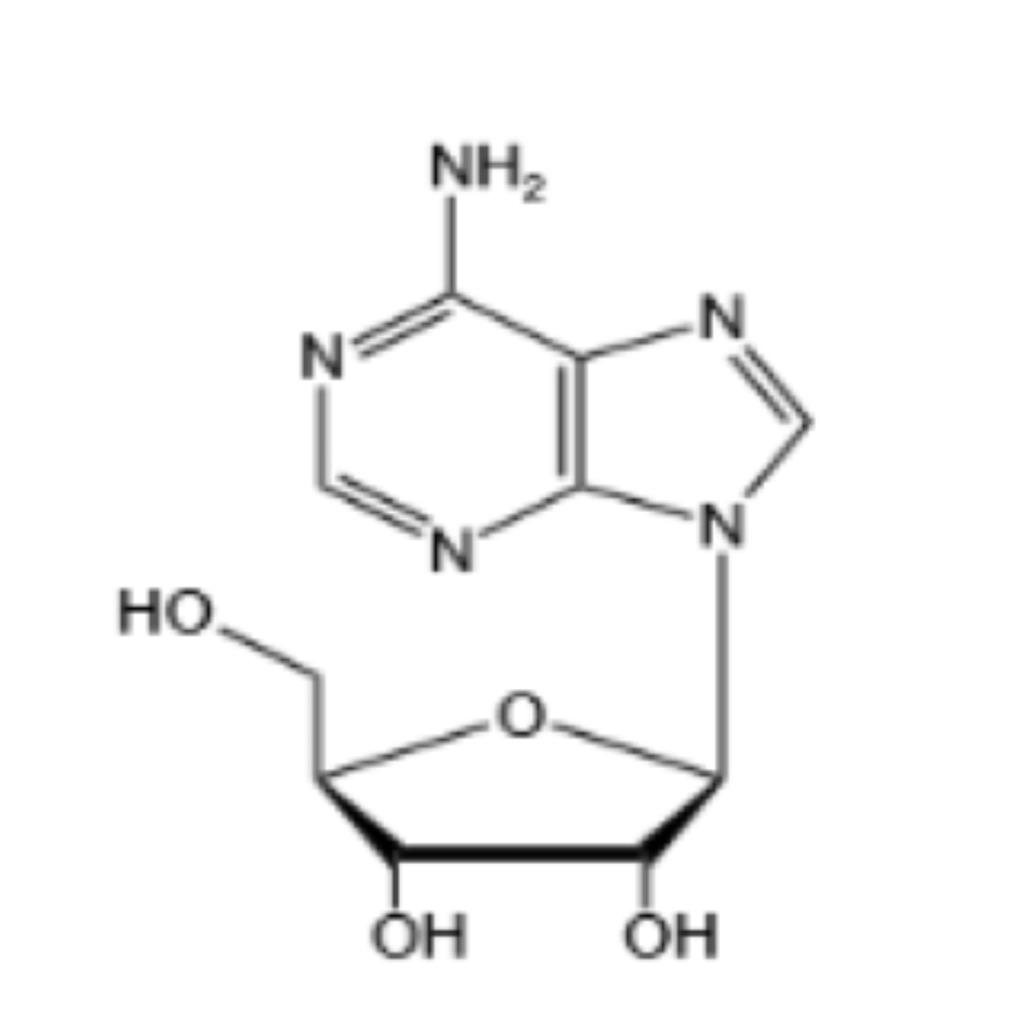 腺苷（Ar）,Adenosine