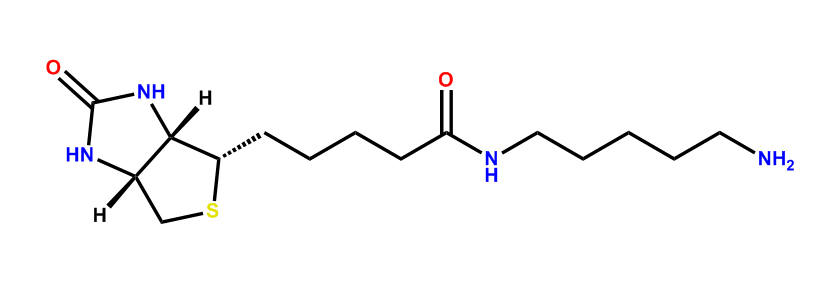 生物素-氨基,5-(Biotinamido)pentylamine
