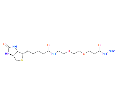 生物素-PEG2-酰肼,Biotin-PEG2-Hydrazide