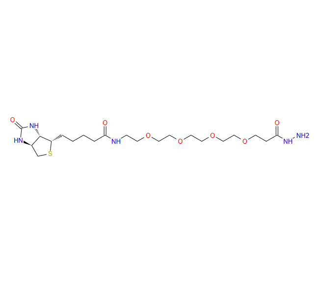 生物素-PEG4-酰肼,(+)-Biotin-PEG4-Hydrazide