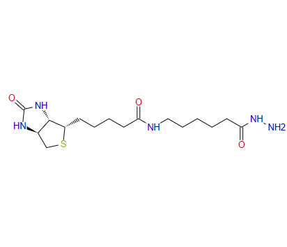 （+）-生物素酰胺己酰肼,BIOTINAMIDOCAPROYL HYDRAZIDE