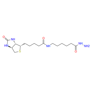 （+）-生物素酰胺己酰肼  109276-34-8