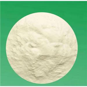 氨苄西林 原粉  99% 国标