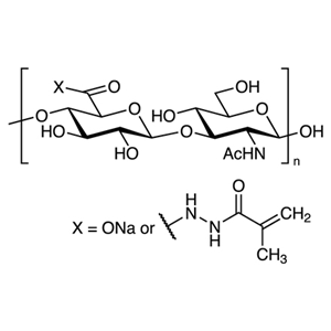 透明质酸2-(2-甲基-1-氧代-2-丙烯-1-基)酰肼  2708286-23-9
